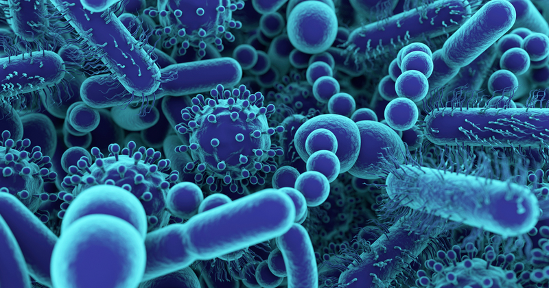 Viêm Âm Đạo Do Nấm Và Tạp Khuẩn: Phân Biệt Triệu Chứng  Cách Điều Trị