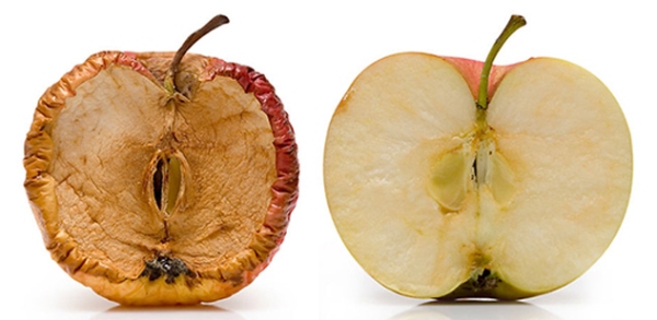 Thu Nhỏ Âm Đạo: Hướng Dẫn  Thông Tin Chi Tiết