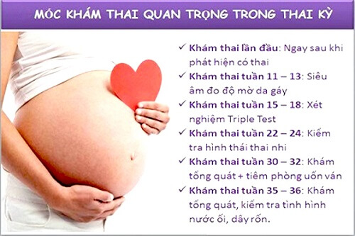 Các Mốc Siêu Âm Thai Quan Trọng Trong Thai Kỳ