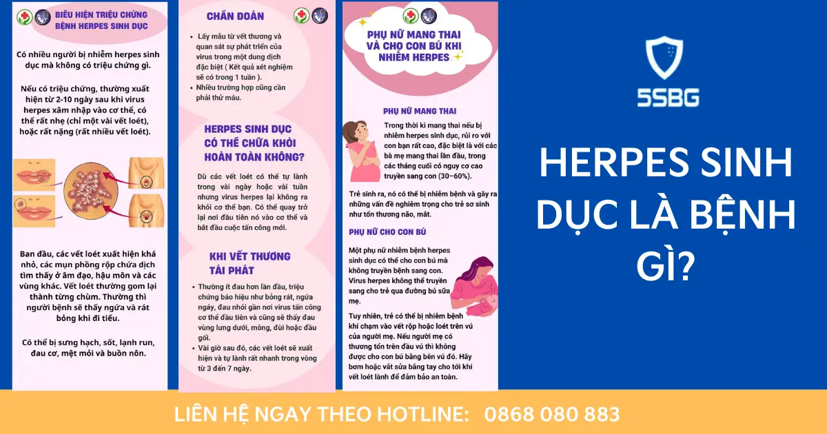 thế nào là bệnh herpes